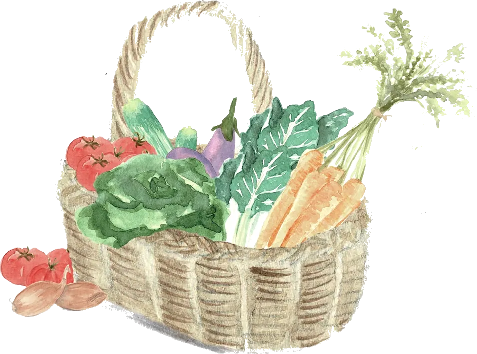 Un panier d'osier garni de légumes, à l'aquarelle