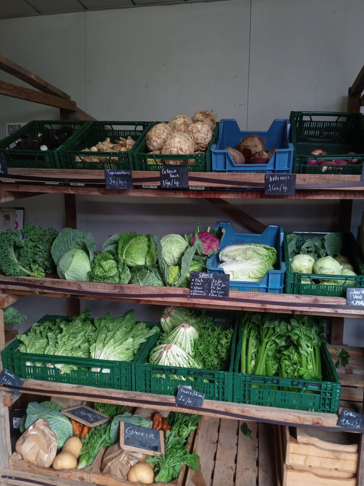 Salades, choux et légumes de saison en cageots sur les étagères