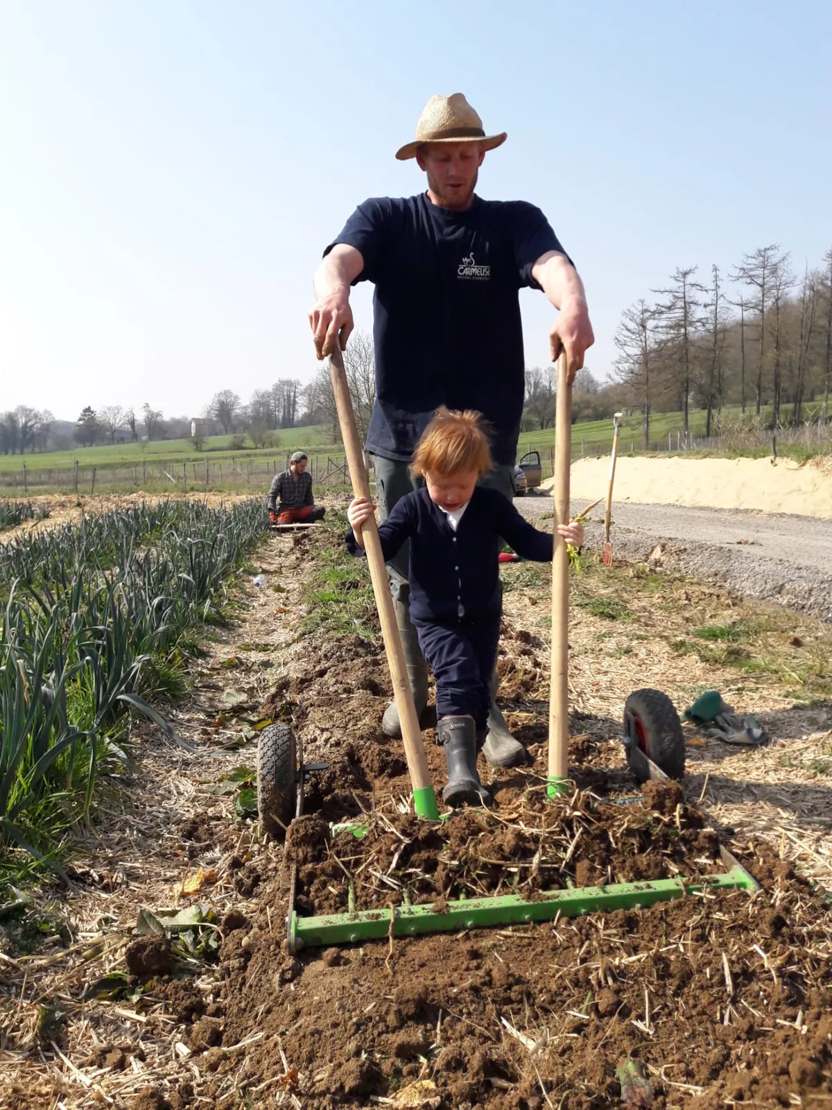 Le potager en été