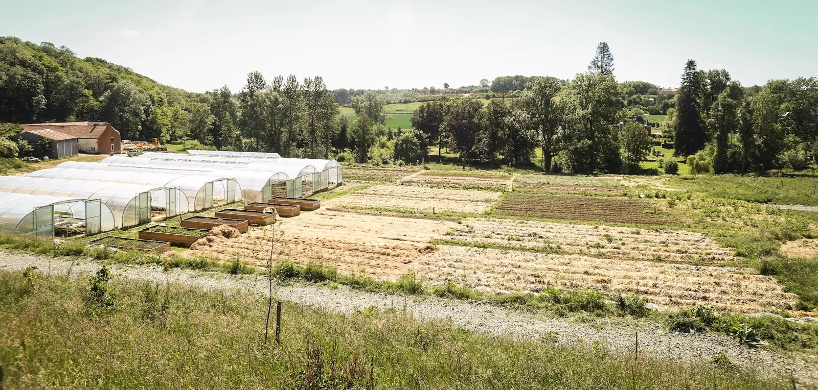 Les serres tunnels, où la saison démarre avant le printemps